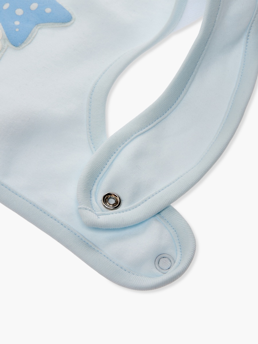 Pack of 2 Baby Bib with Aquatic Print