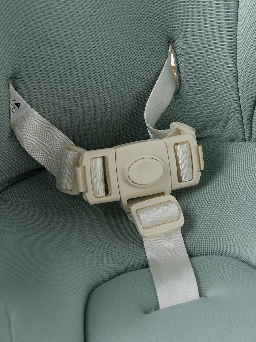 Booster Seat with 3-Point Safety Harness
