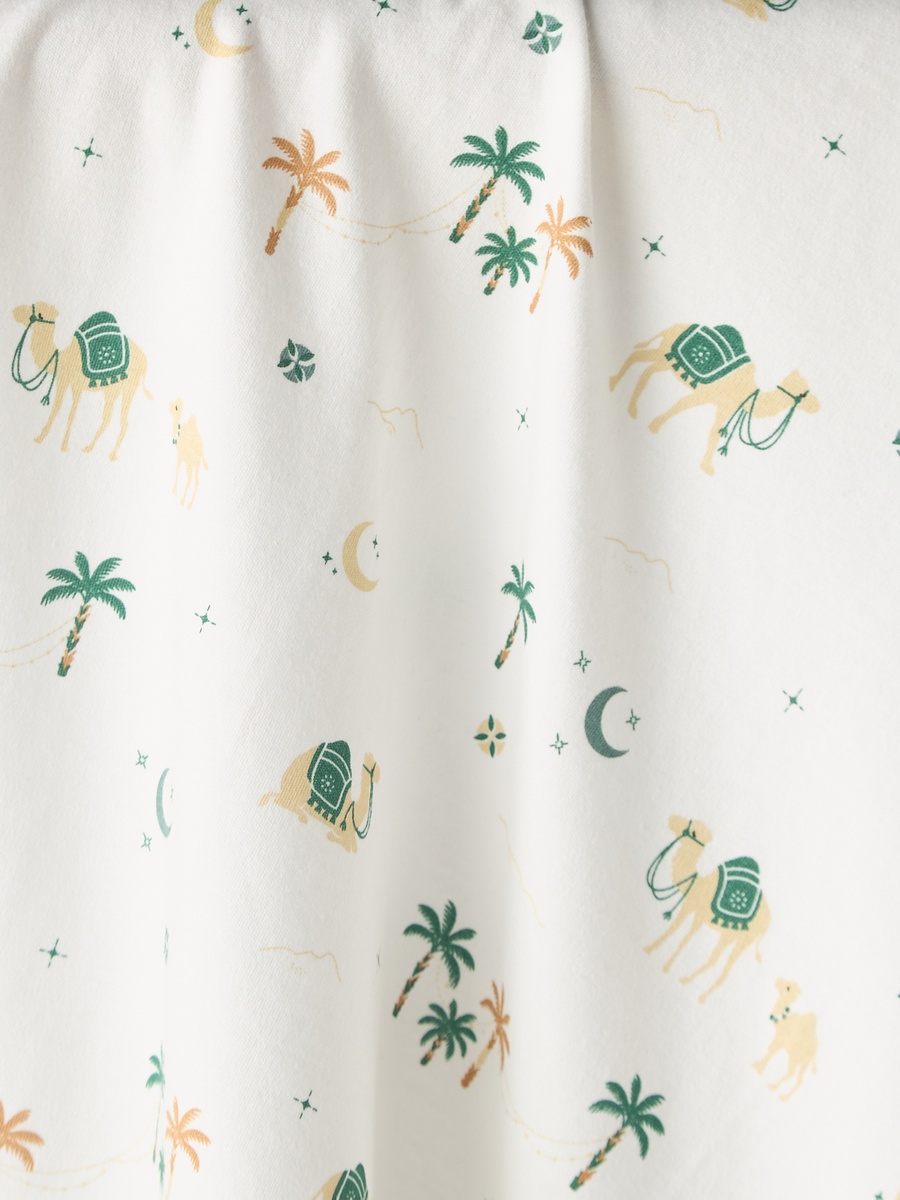 Cotton Desert Print Hooded Receiving Blanket