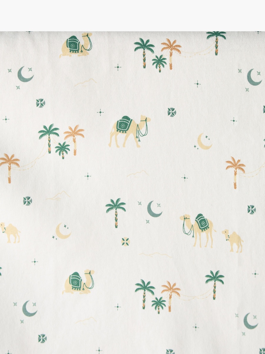 Cotton Desert Print Hooded Receiving Blanket
