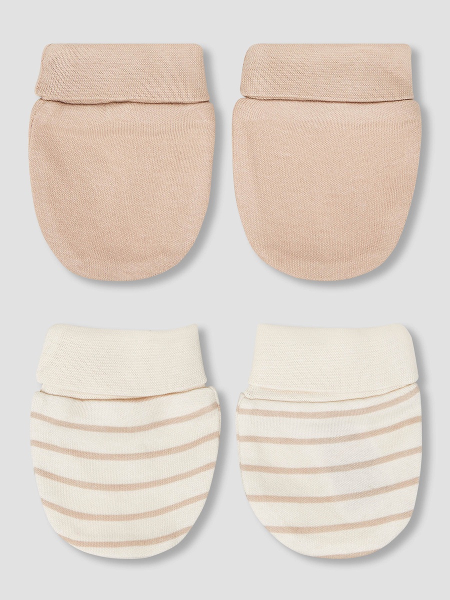 Pack of 2 Mittens with Assorted Design