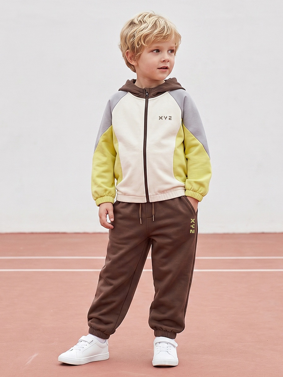 Hooded Long Sleeves Sweatshirt and Joggers Set with Panelled Detail