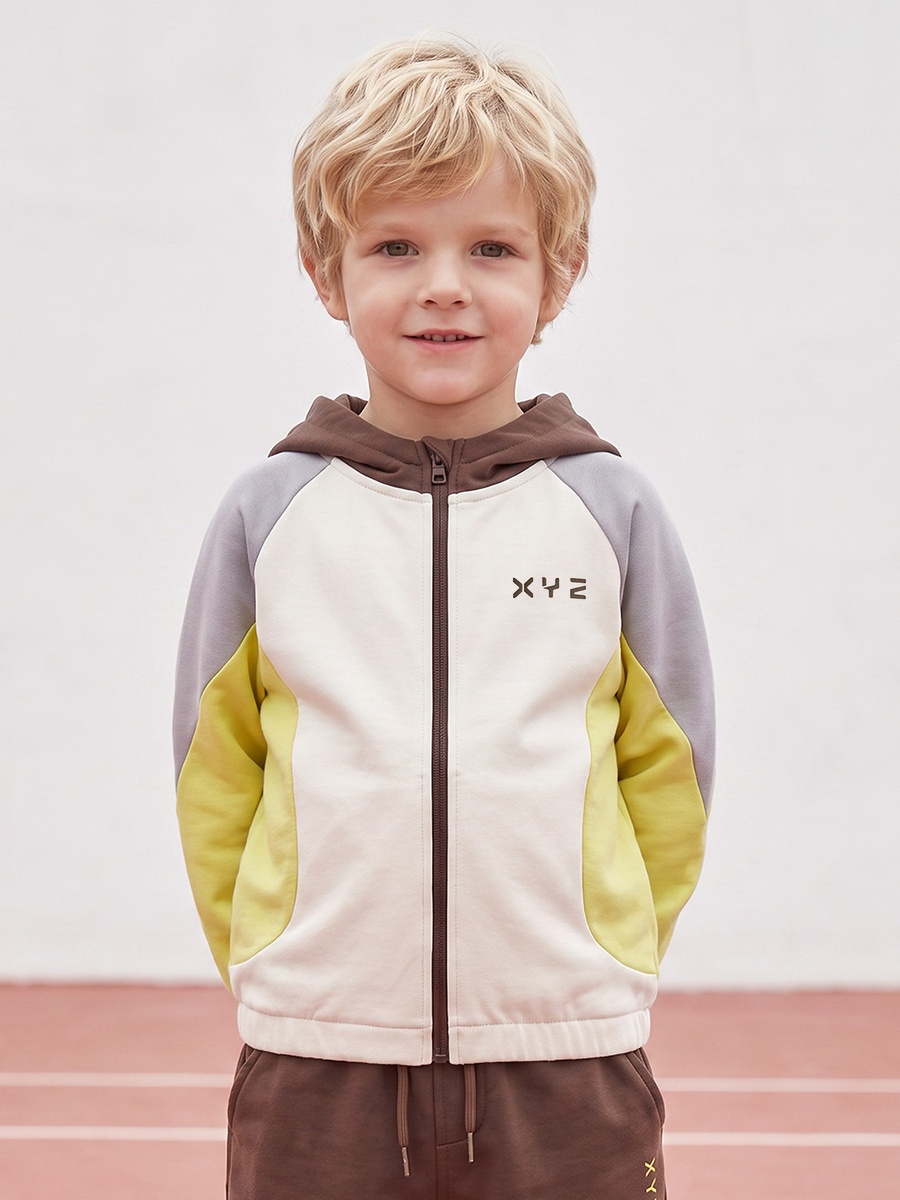 Hooded Long Sleeves Sweatshirt and Joggers Set with Panelled Detail