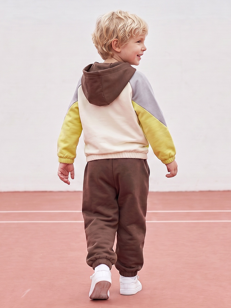 Hooded Long Sleeves Sweatshirt and Joggers Set with Panelled Detail