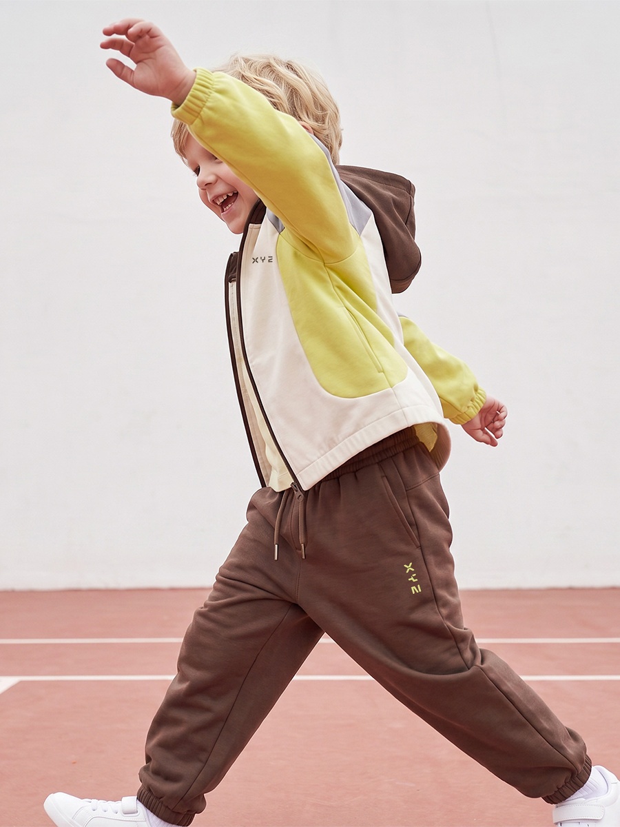 Hooded Long Sleeves Sweatshirt and Joggers Set with Panelled Detail