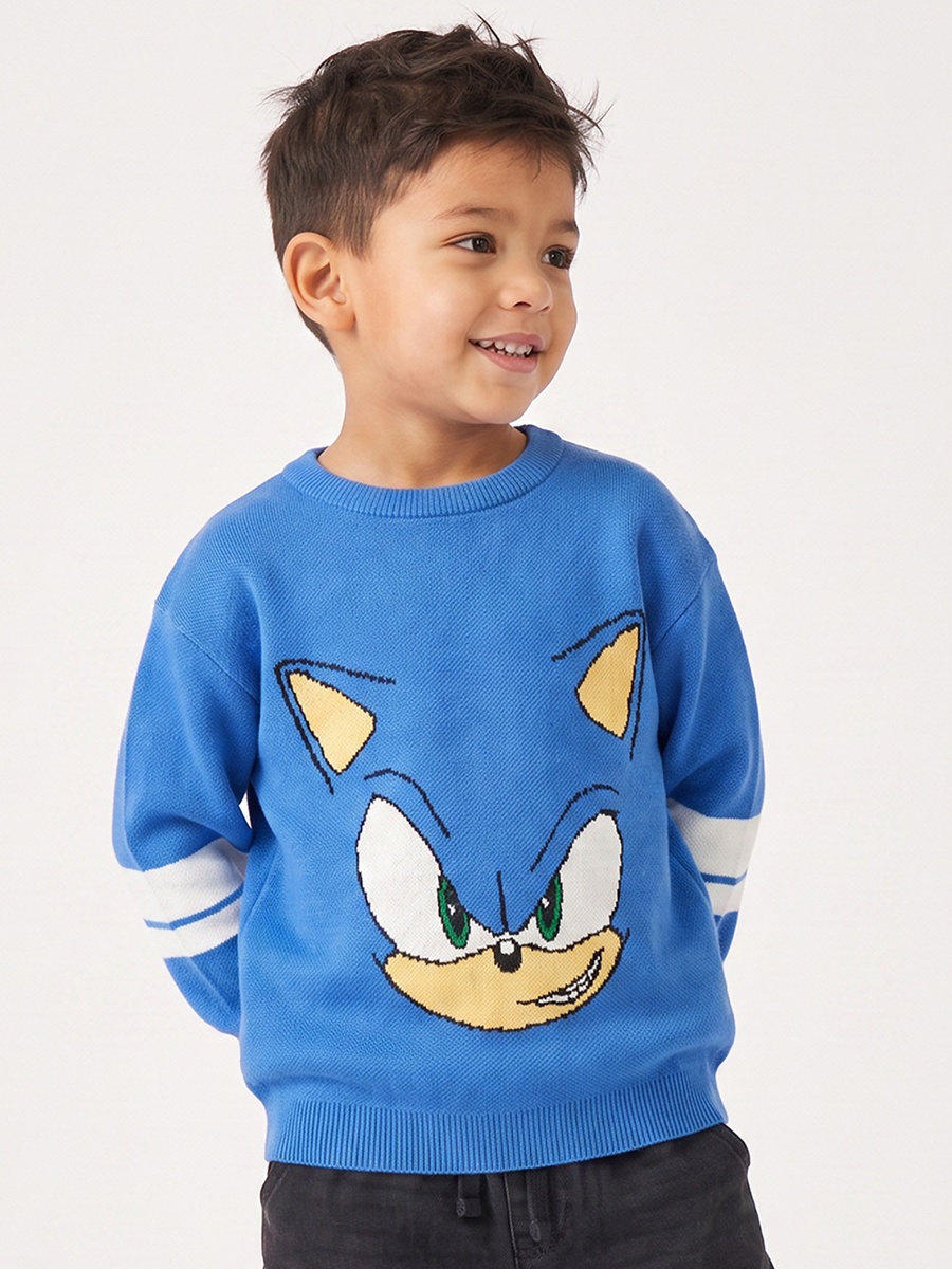 Sonic the Hedgehog Print Sweater with Long Sleeves