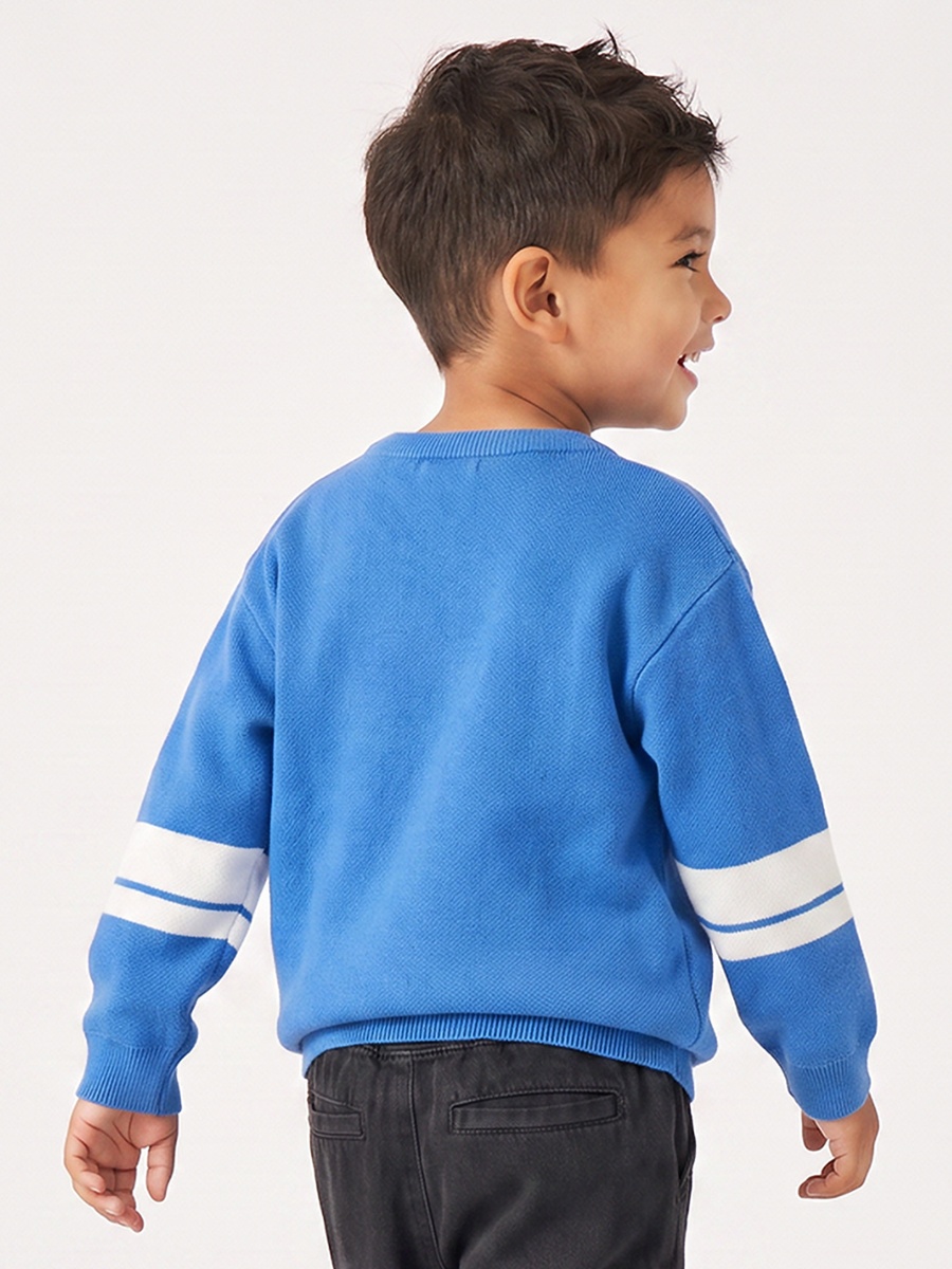 Sonic the Hedgehog Print Sweater with Long Sleeves