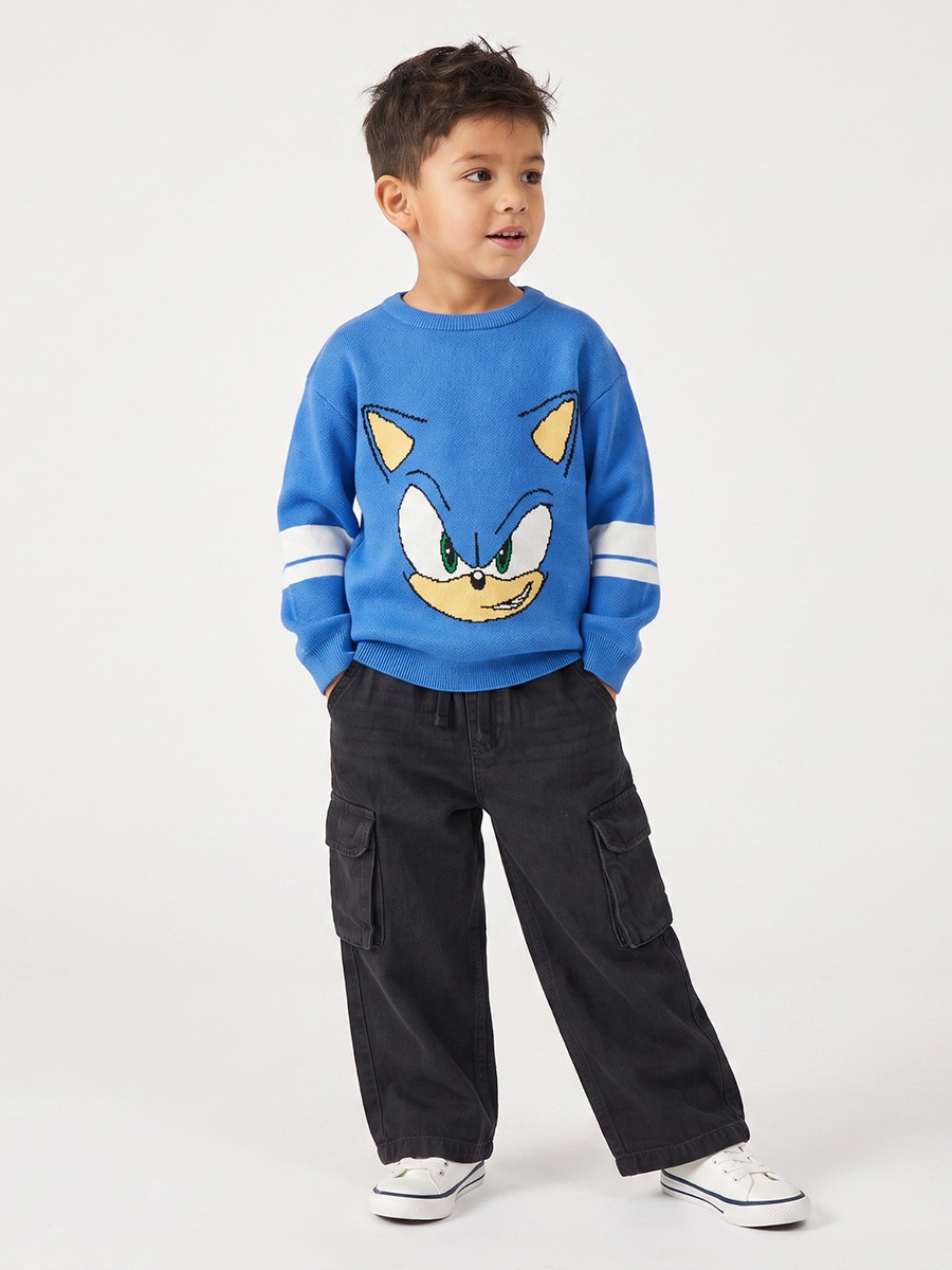 Sonic the Hedgehog Print Sweater with Long Sleeves