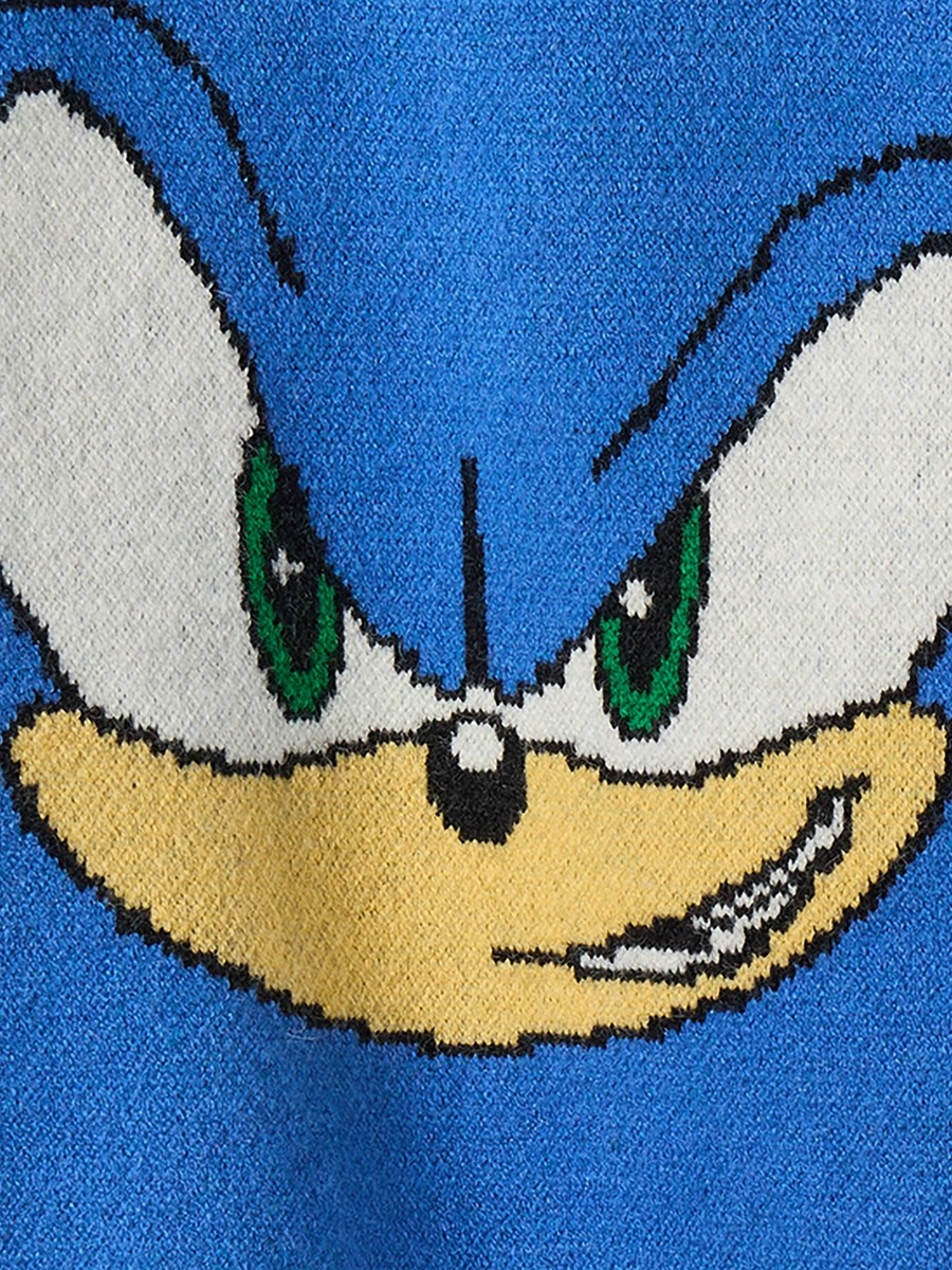 Sonic the Hedgehog Print Sweater with Long Sleeves