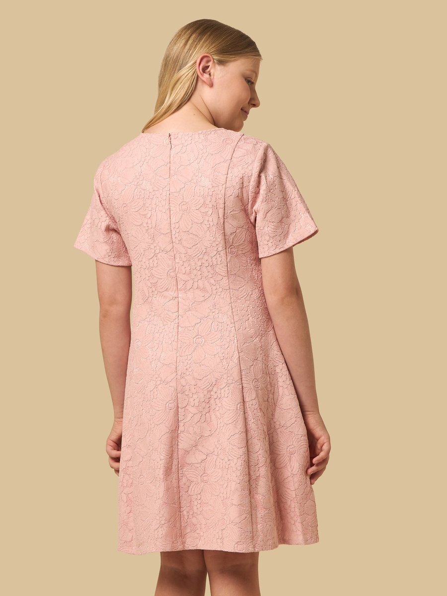 Embellished Bonded Lace A-line Dress