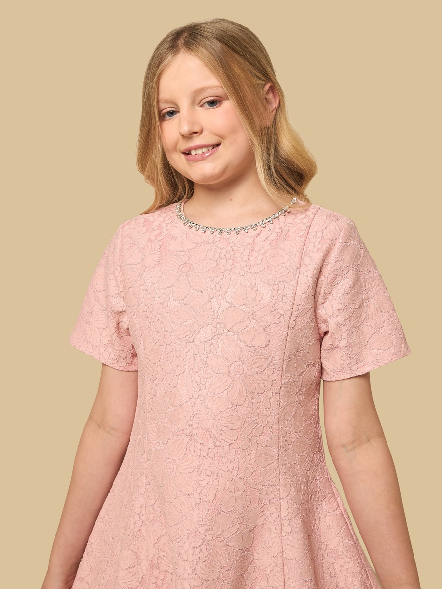 Embellished Bonded Lace A-line Dress