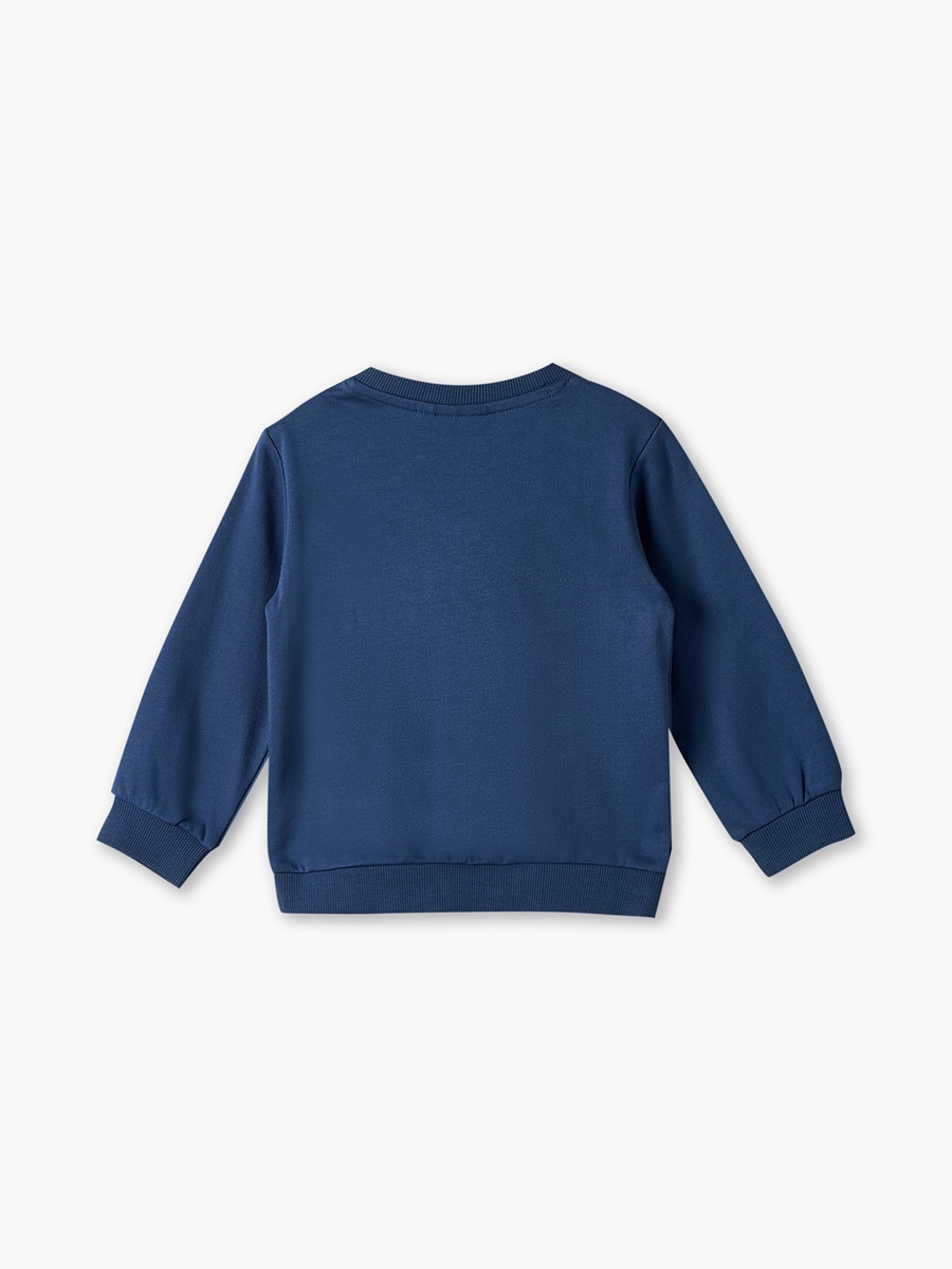 Juniors Round Neck Sweatshirt with Lion Print