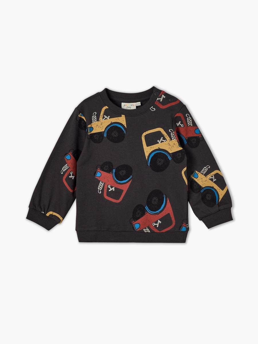 Juniors Round Neck Sweatshirt with Lion Print