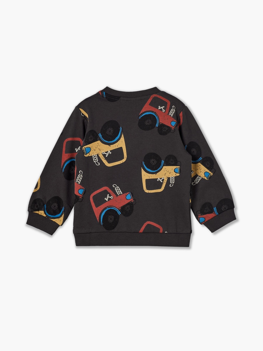 Juniors Round Neck Sweatshirt with Lion Print
