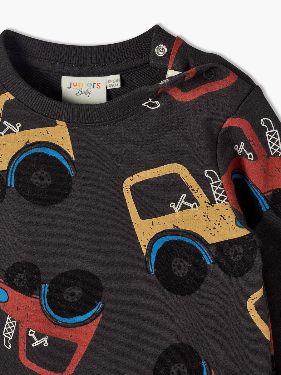 Juniors Round Neck Sweatshirt with Lion Print