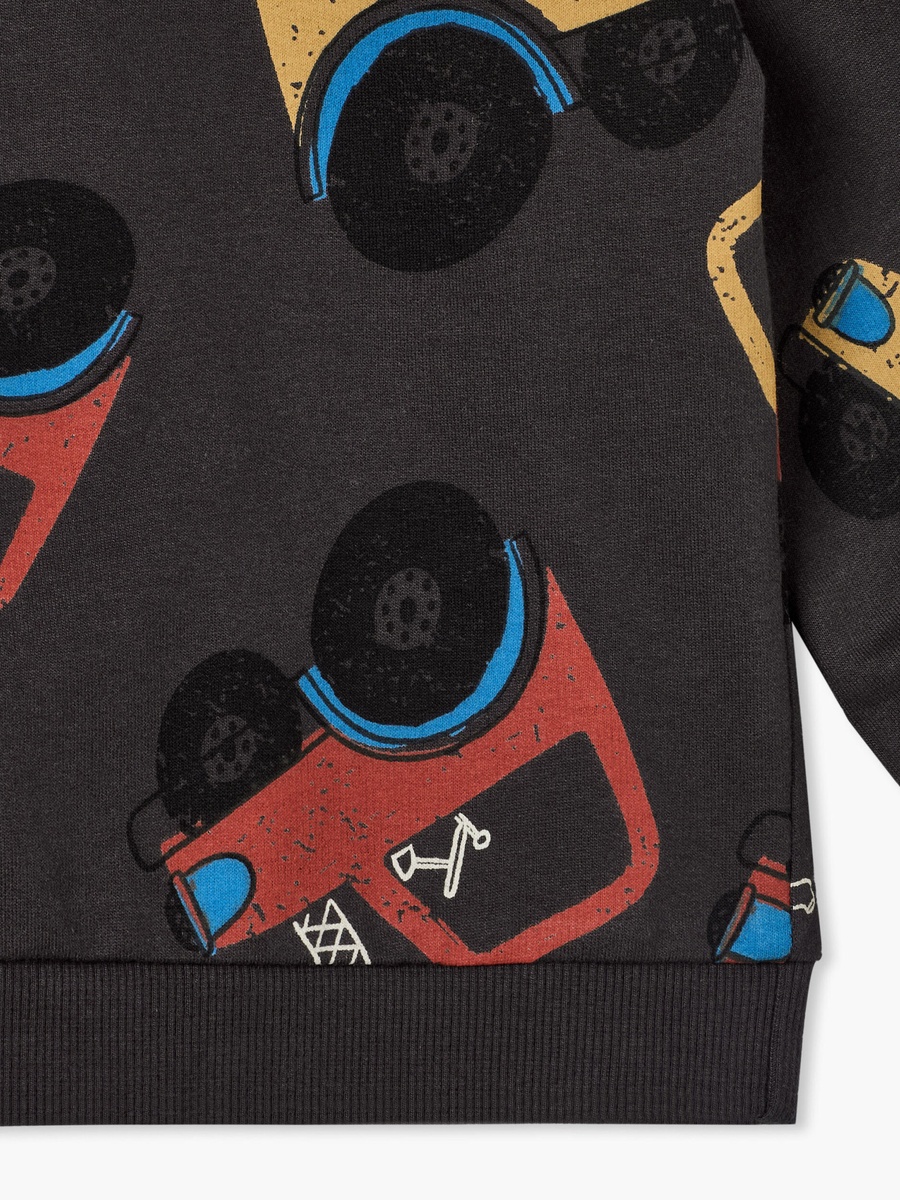 Juniors Round Neck Sweatshirt with Lion Print