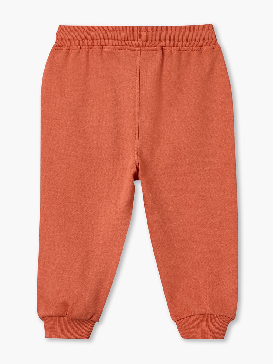 Pack of 2 Juniors Drawstring Waist Joggers with Dinosaur Accent