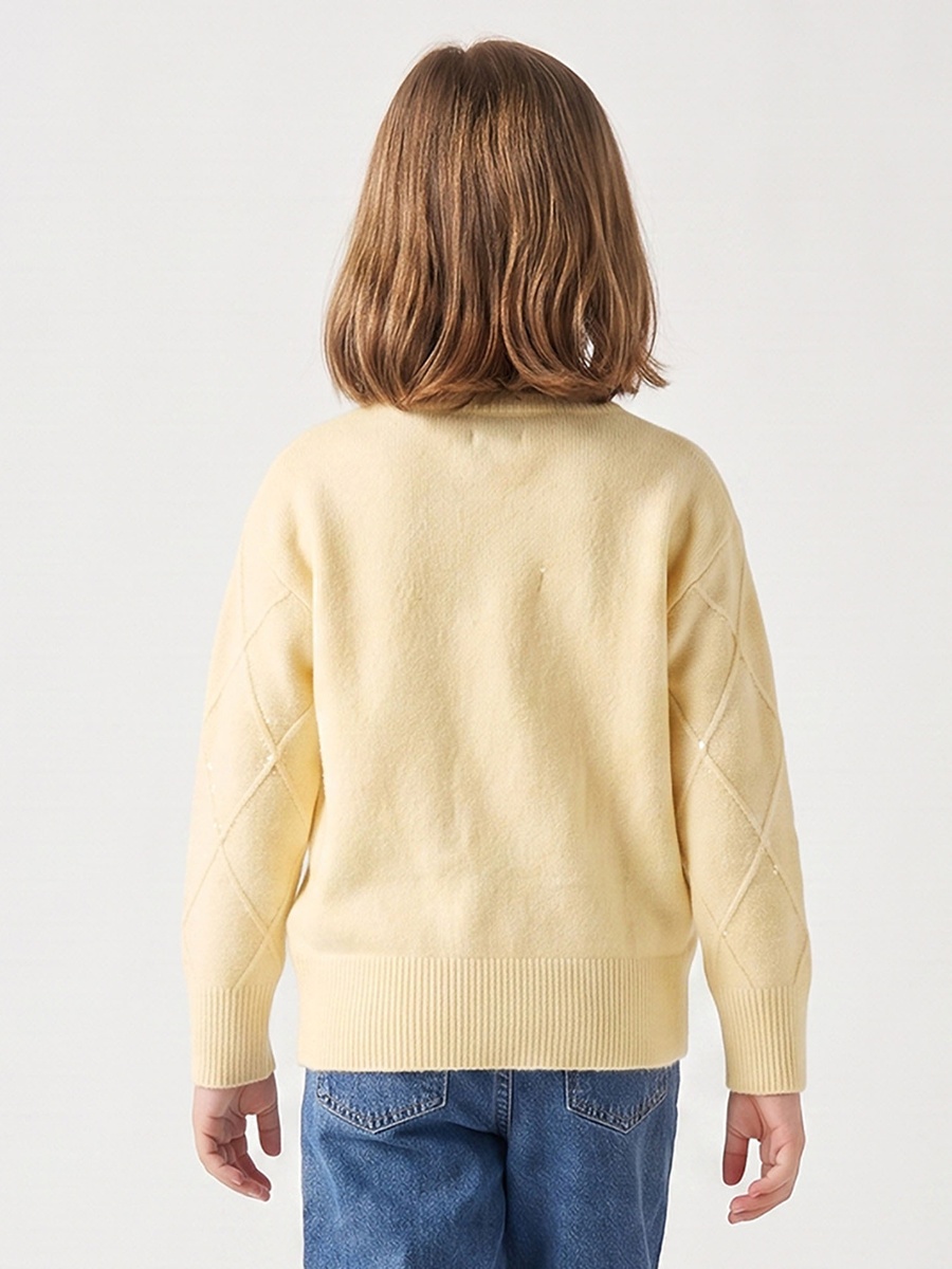 Juniors Round Neck Long Sleeves Sweater with Sequin Detail