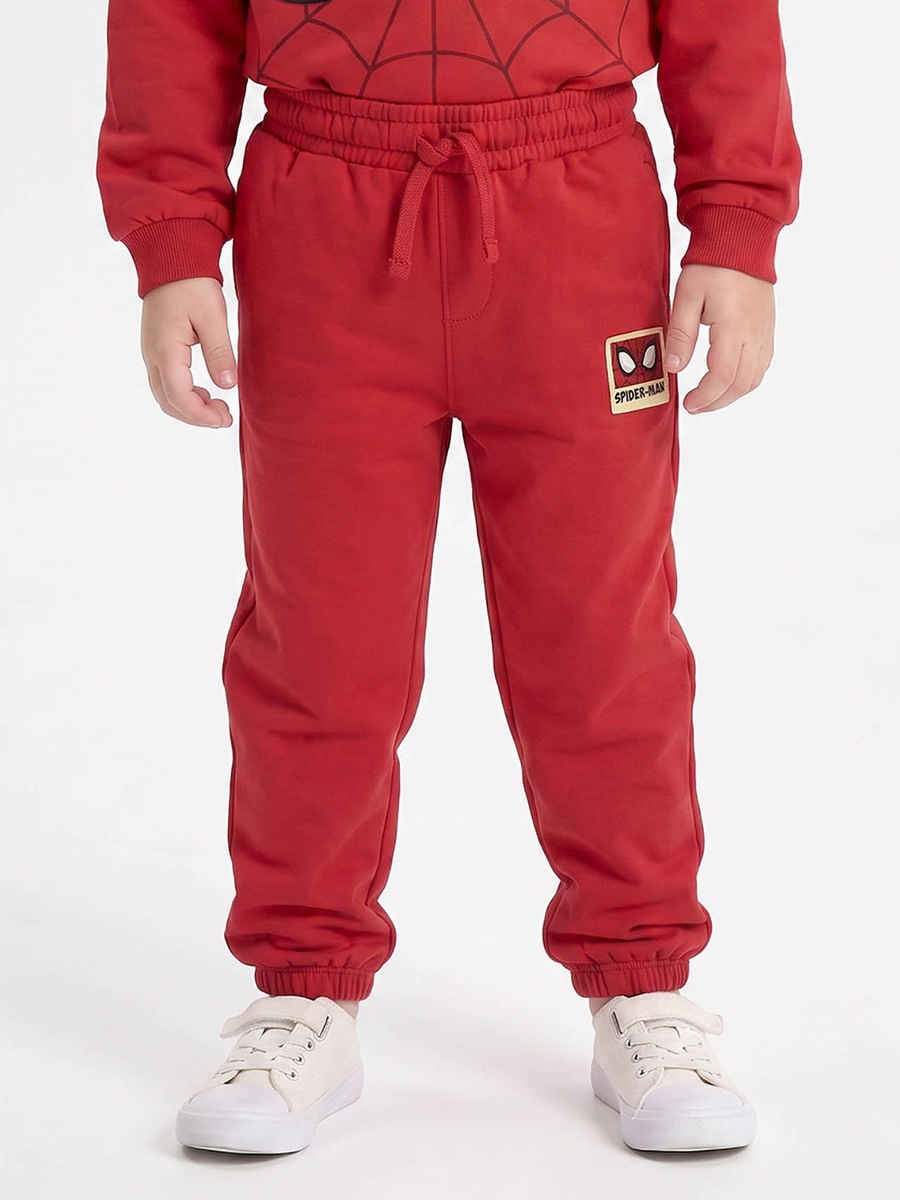 Hooded Neck Long Sleeves Sweatshirt and Joggers Set with Spider-Man Print