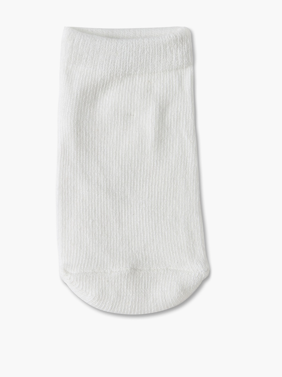 Pack of 6 Gloo Baby Boys Socks Ankle Length