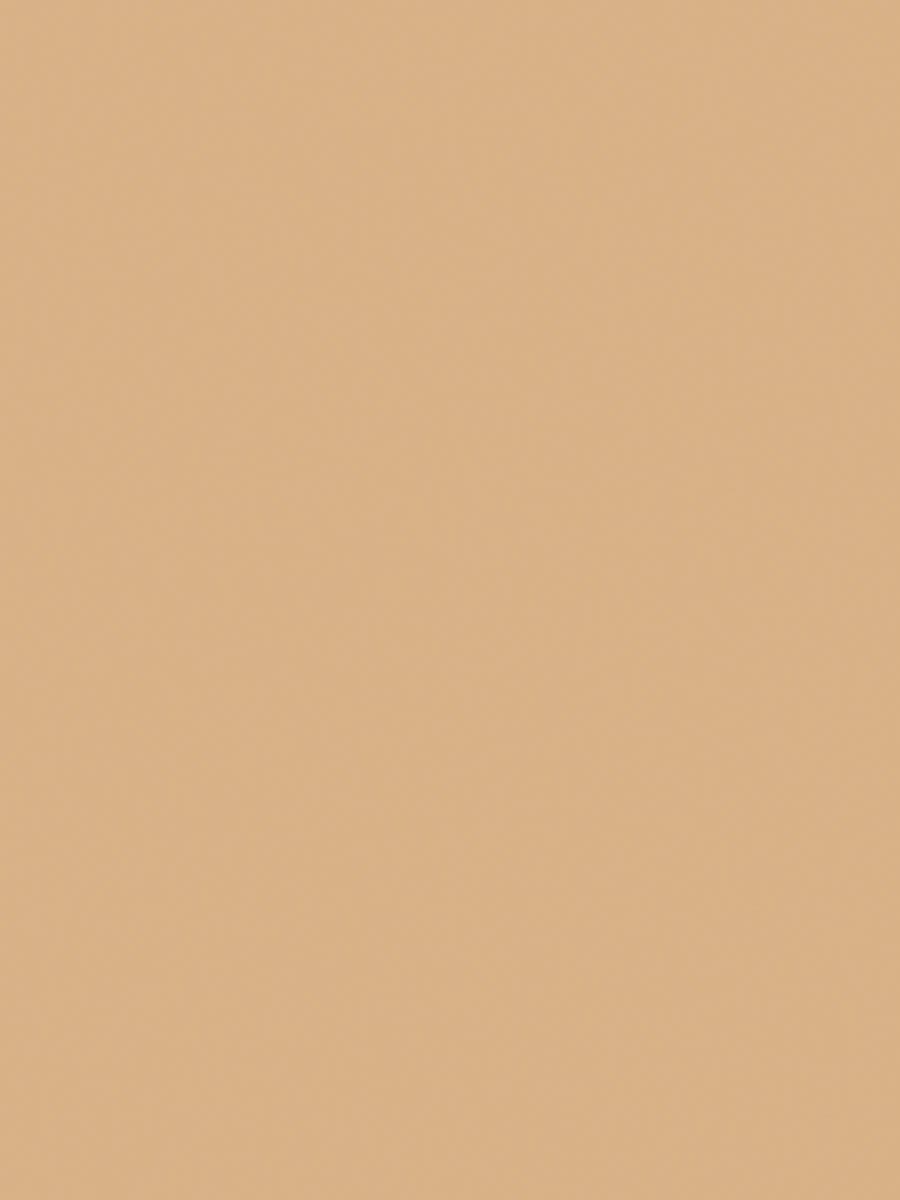 Perfect Coverage Foundation with SPF15, 102 Sft Beige