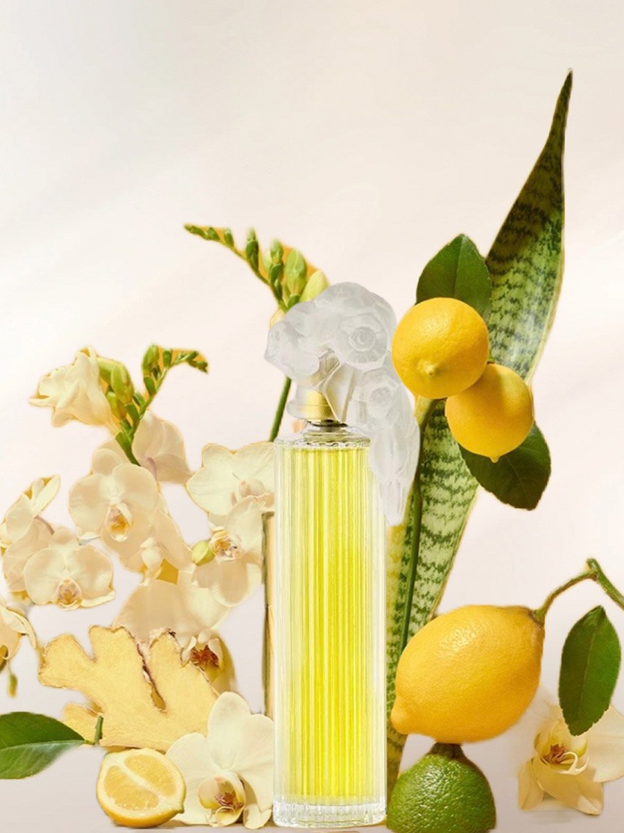 Plaisir Eau De Parfum, 100ml