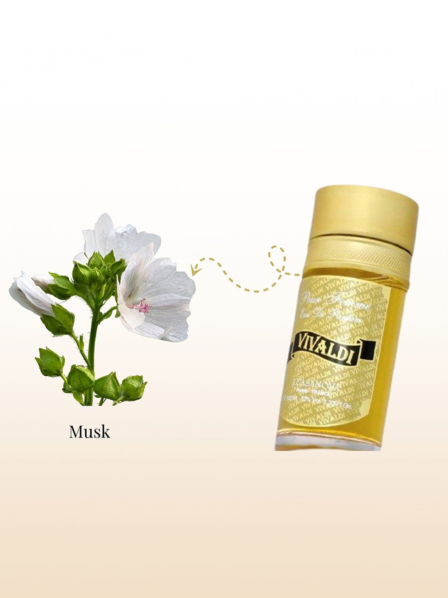 عطر فيفالدي، أو دو بارفيوم، 100 مل