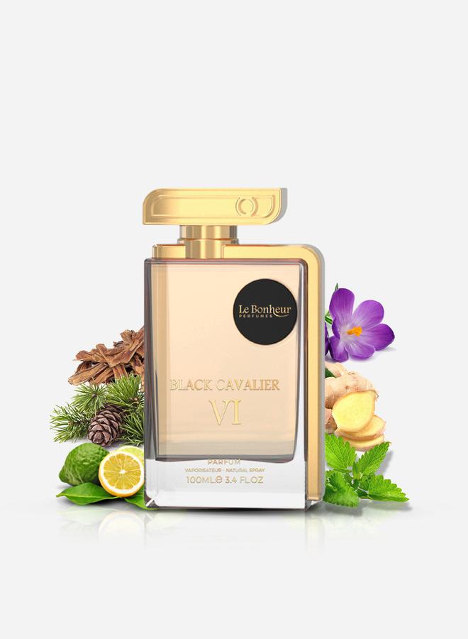 عطر بلاك كافالير في اي، او دو بارفيوم، 100 مل