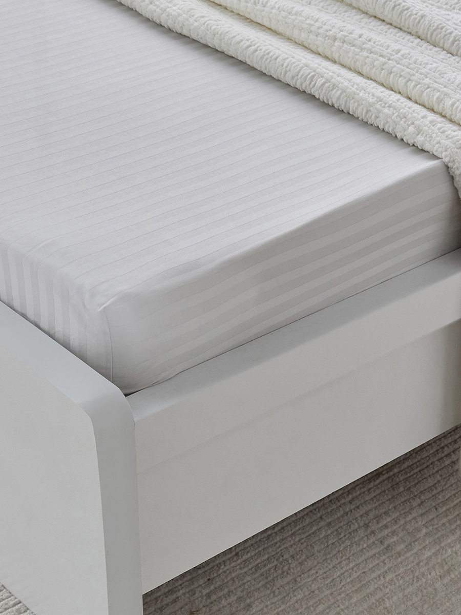 Hamilton Striped Satin Cotton Single Fitted Sheet - 90x200+36 cm