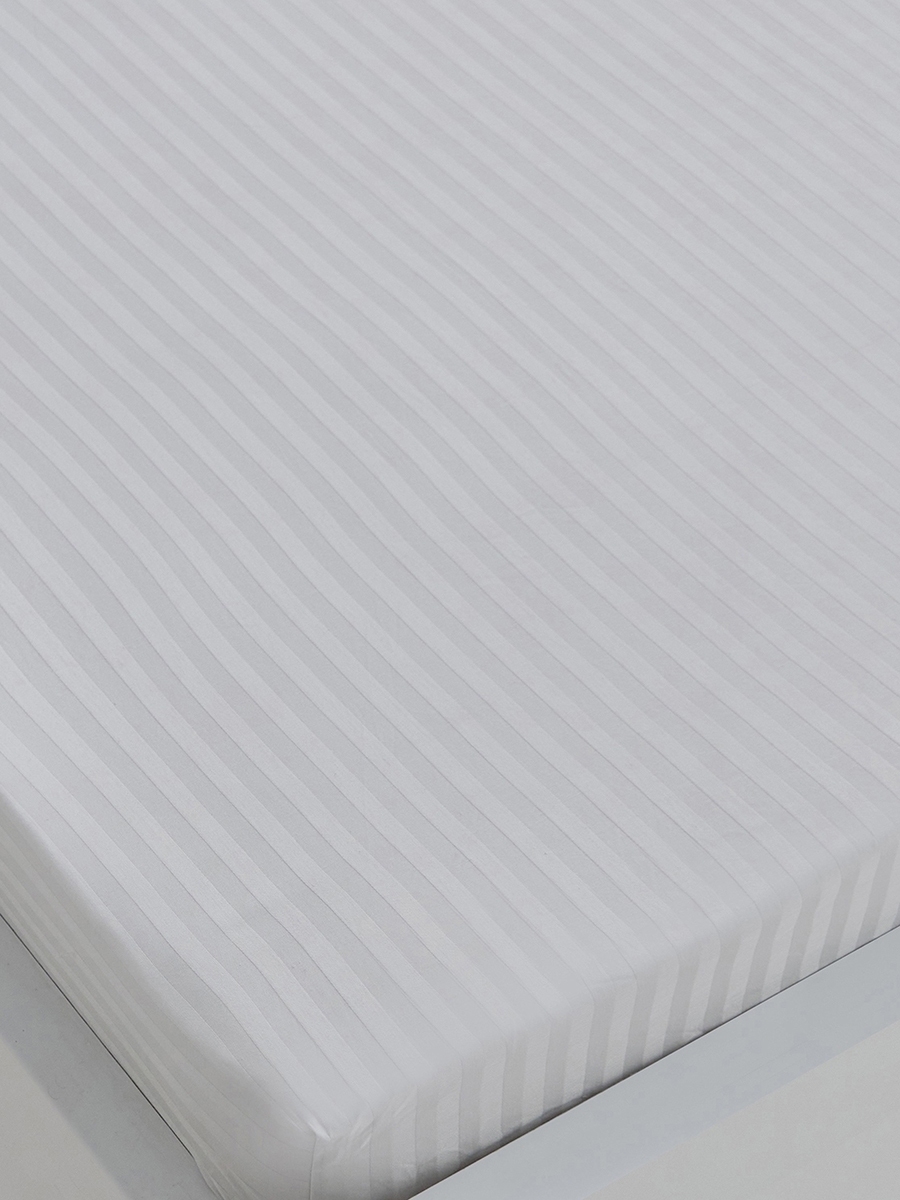 Hamilton Striped Satin Cotton Single Fitted Sheet - 90x200+36 cm