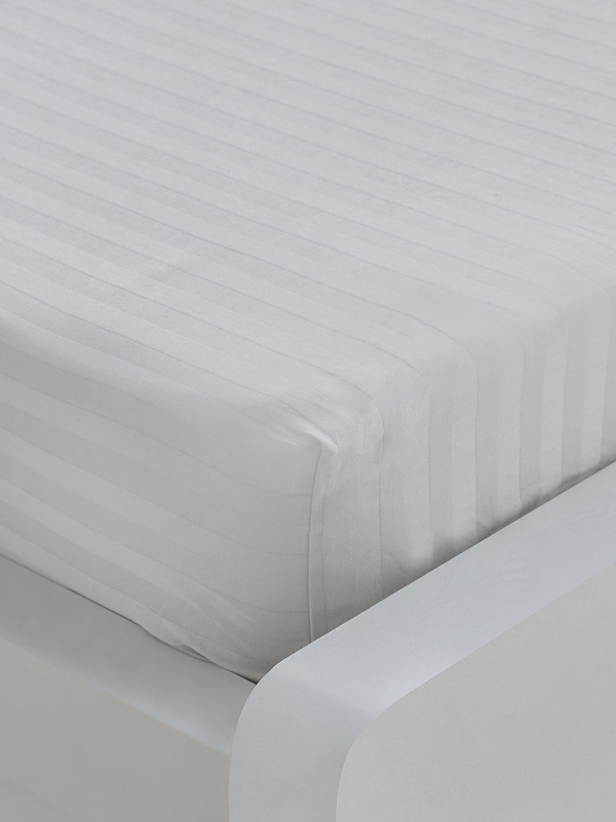 Hamilton Striped Satin Cotton Single Fitted Sheet - 90x200+36 cm