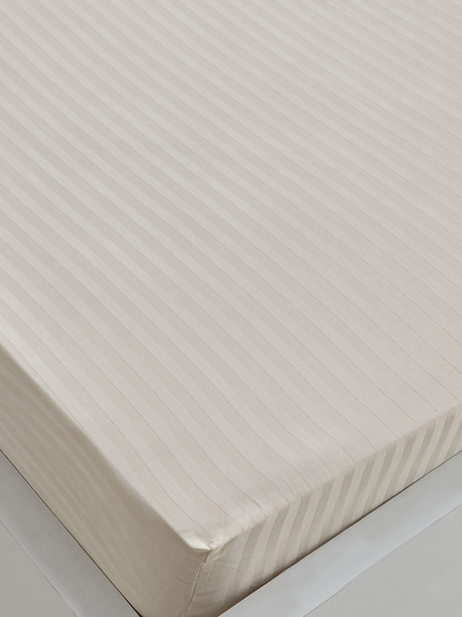 Hamilton Stripe Satin Cotton Single Fitted Sheet - 90x200+36 cm