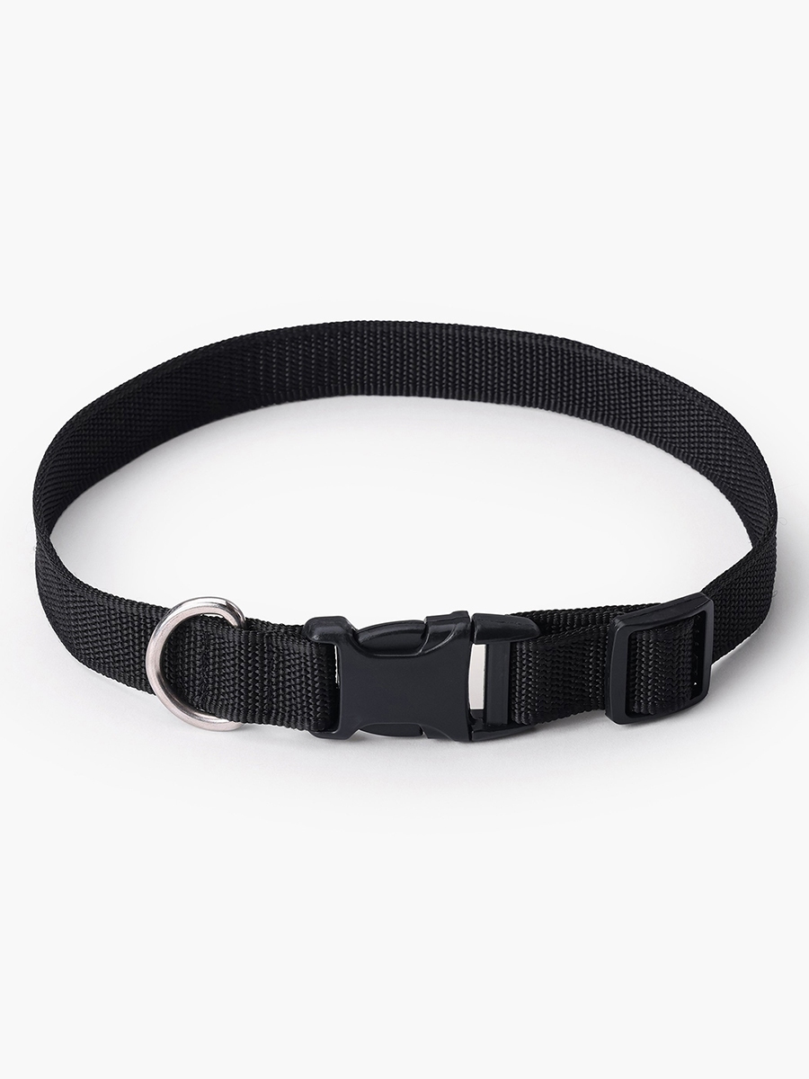 Canine Nylon Pet Collar - Large