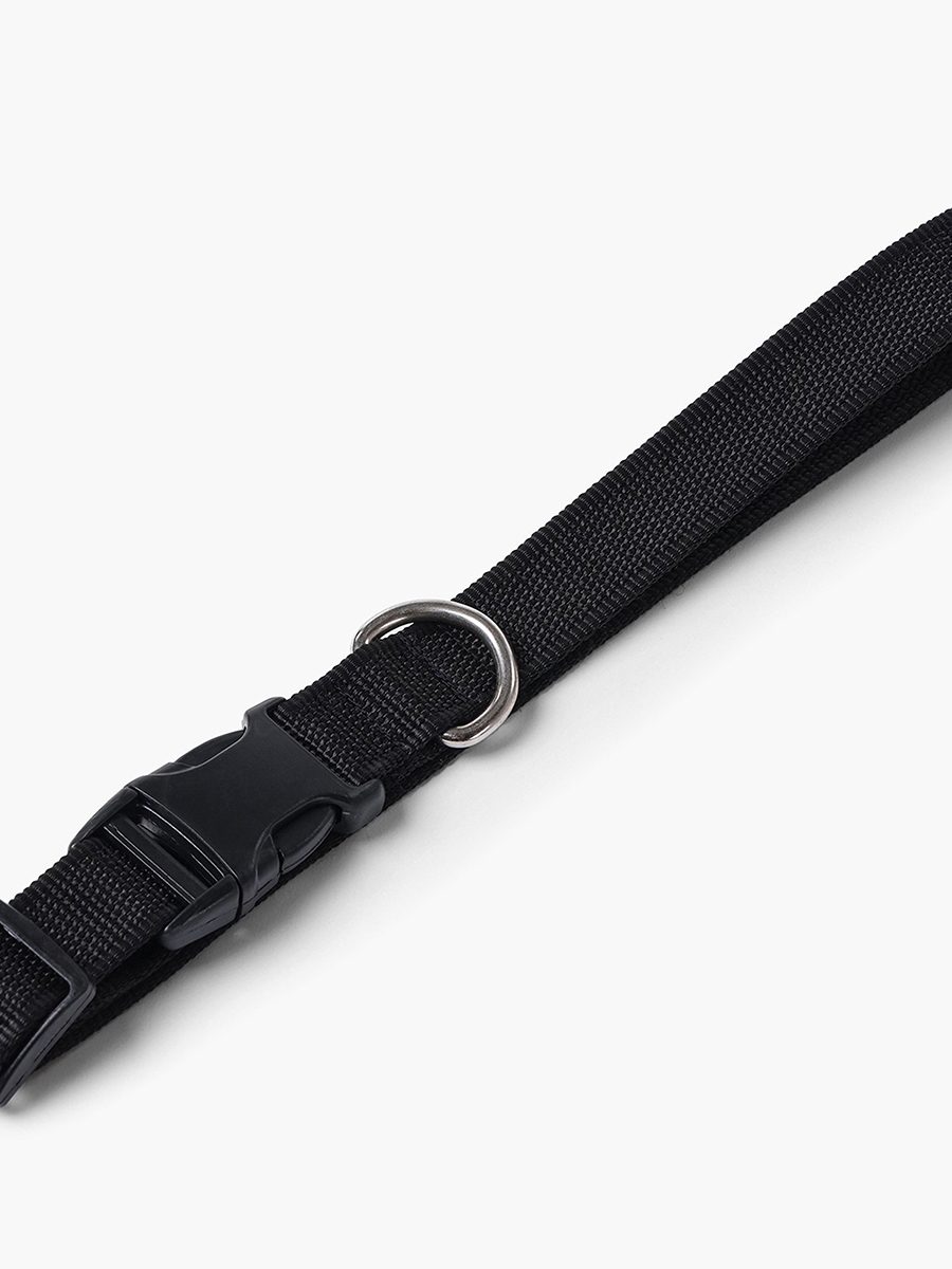Canine Nylon Pet Collar - Large