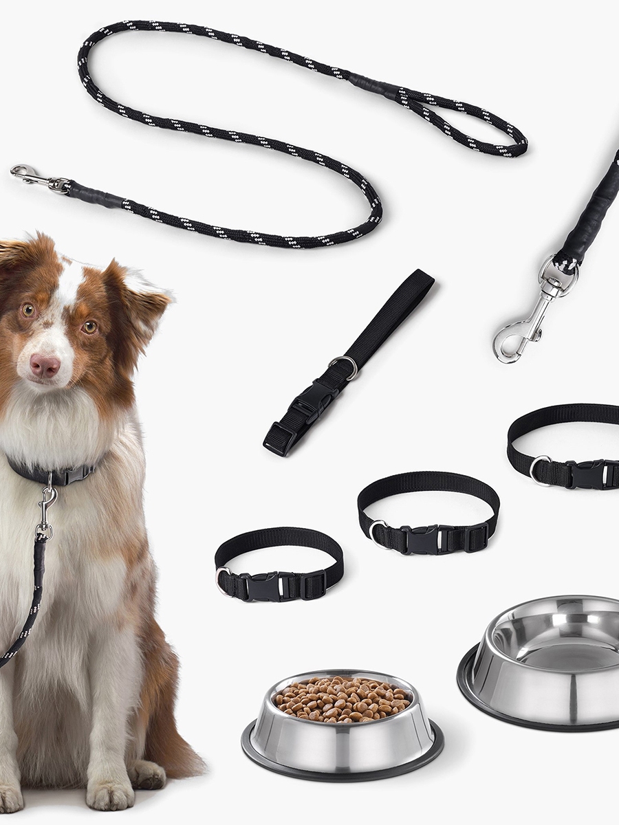 Canine Nylon Pet Collar - Large