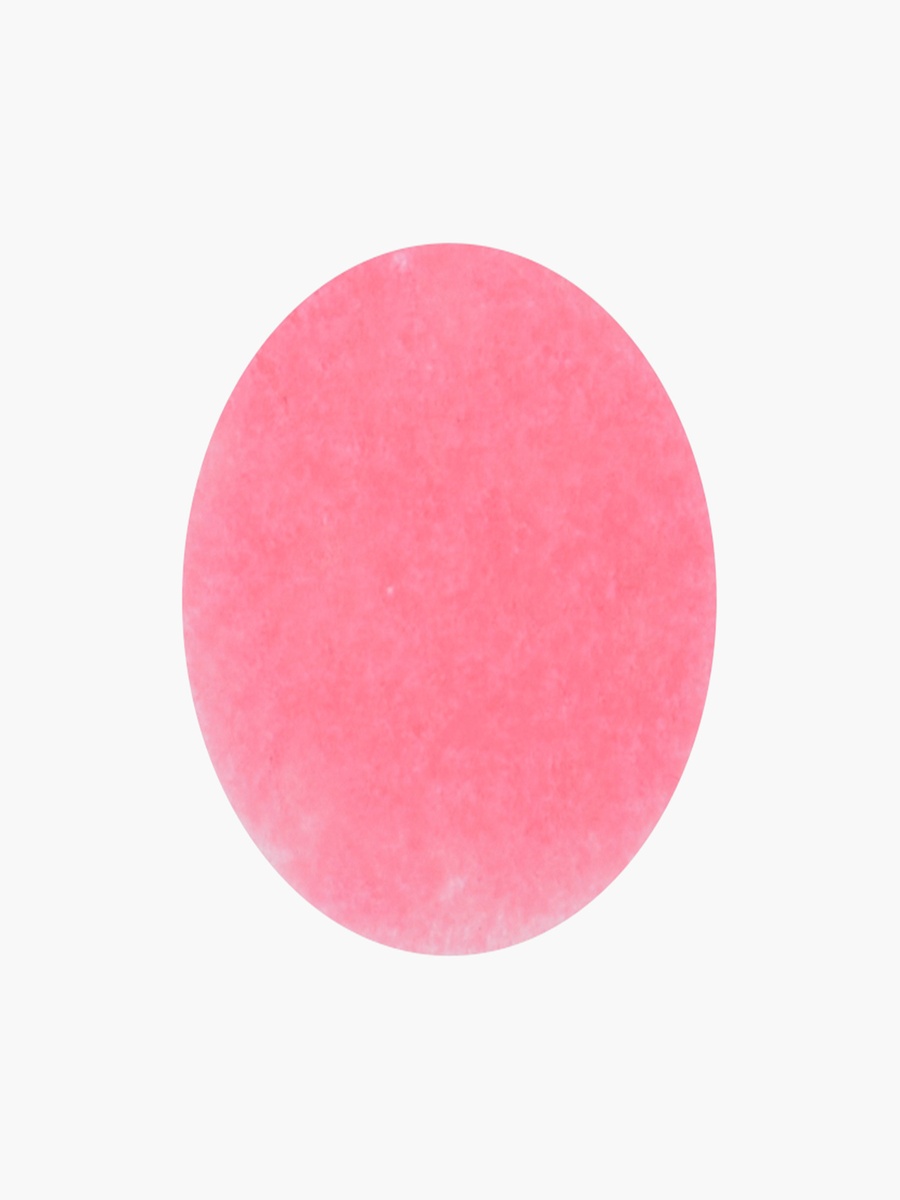 Jelly Blush Lip and Cheek Stain