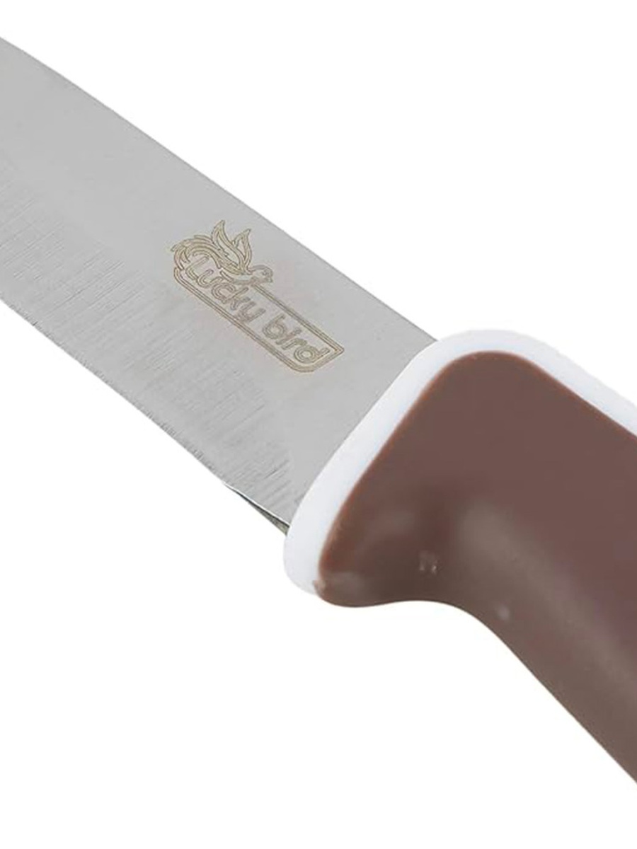 Stainless Steel Fruit Knife P-504