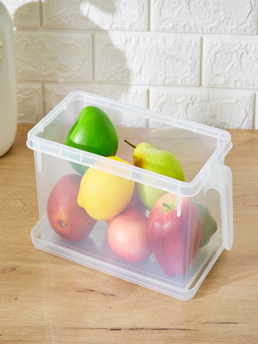 Vega Storage Organiser with Handle - 29.5x15.5x14 cm