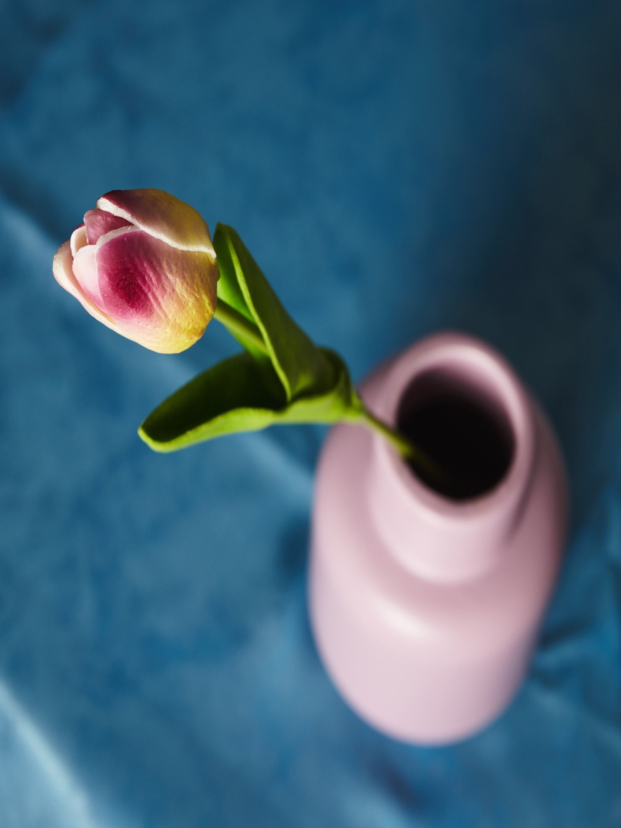 Aria Tulip Flower Stem - 36 cm