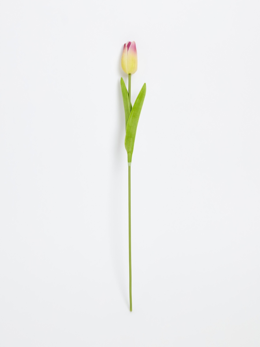 Aria Tulip Flower Stem - 36 cm