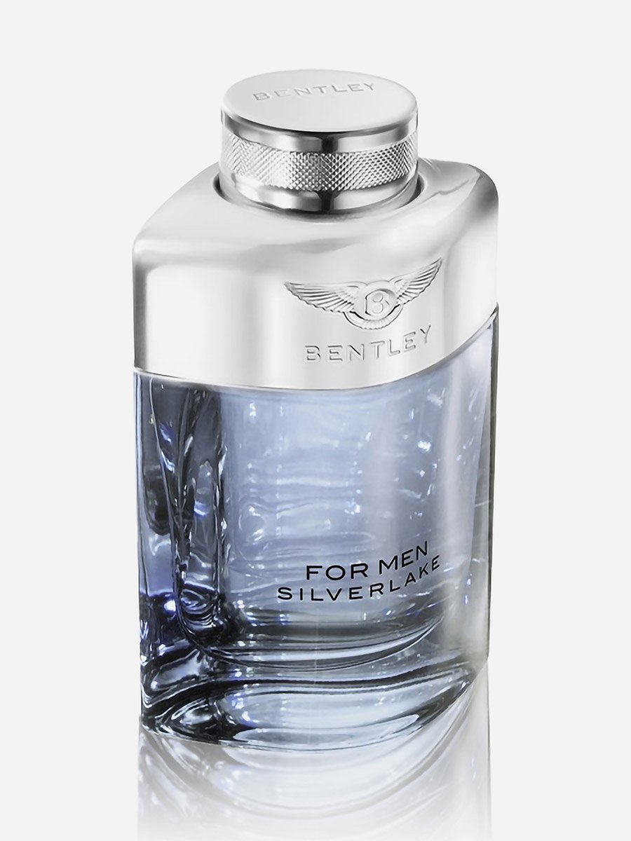 عطر سيلفر ليك أو دو بارفيوم 100 مل