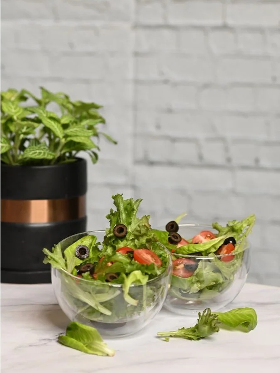 Set of 2 - Double Wall Cereal Salad Bowl 500ml