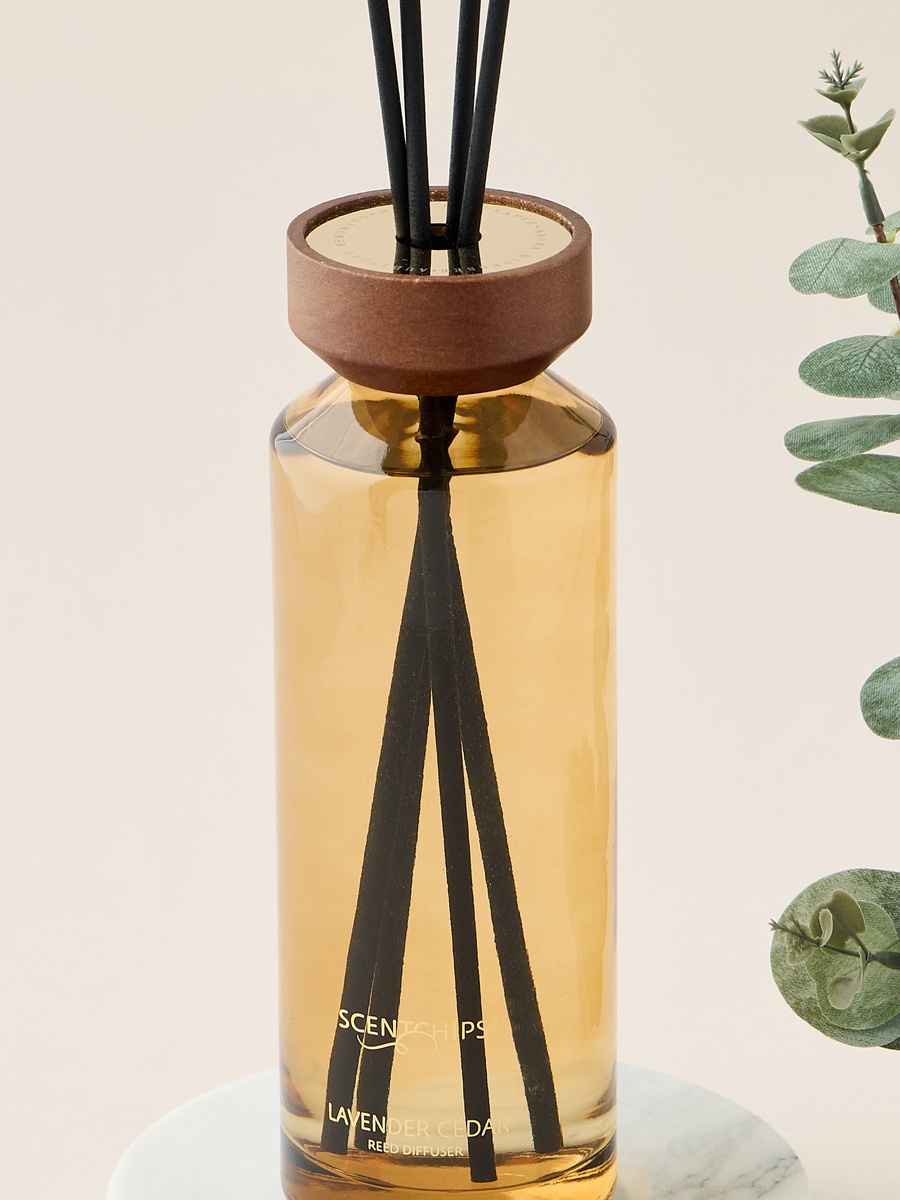 طقم موزع عطور بأعواد وائحة لافندر وأرز من سينتشيبس - 500 مل