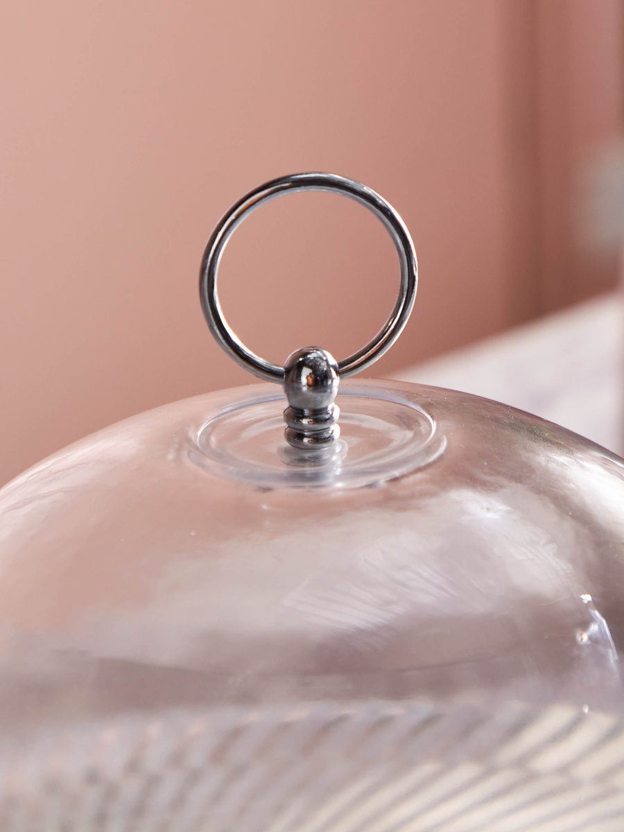 Vintage Cake Dome