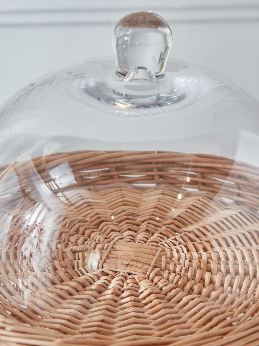 Minimalist 2-Piece Glass Cake Dome Set