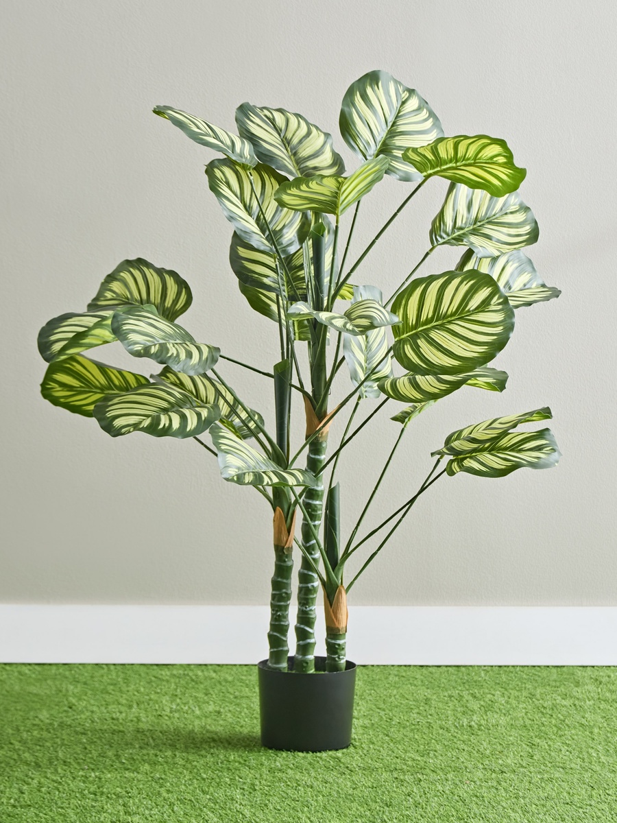 Teodora Artificial Calathea Tree - 105 cm