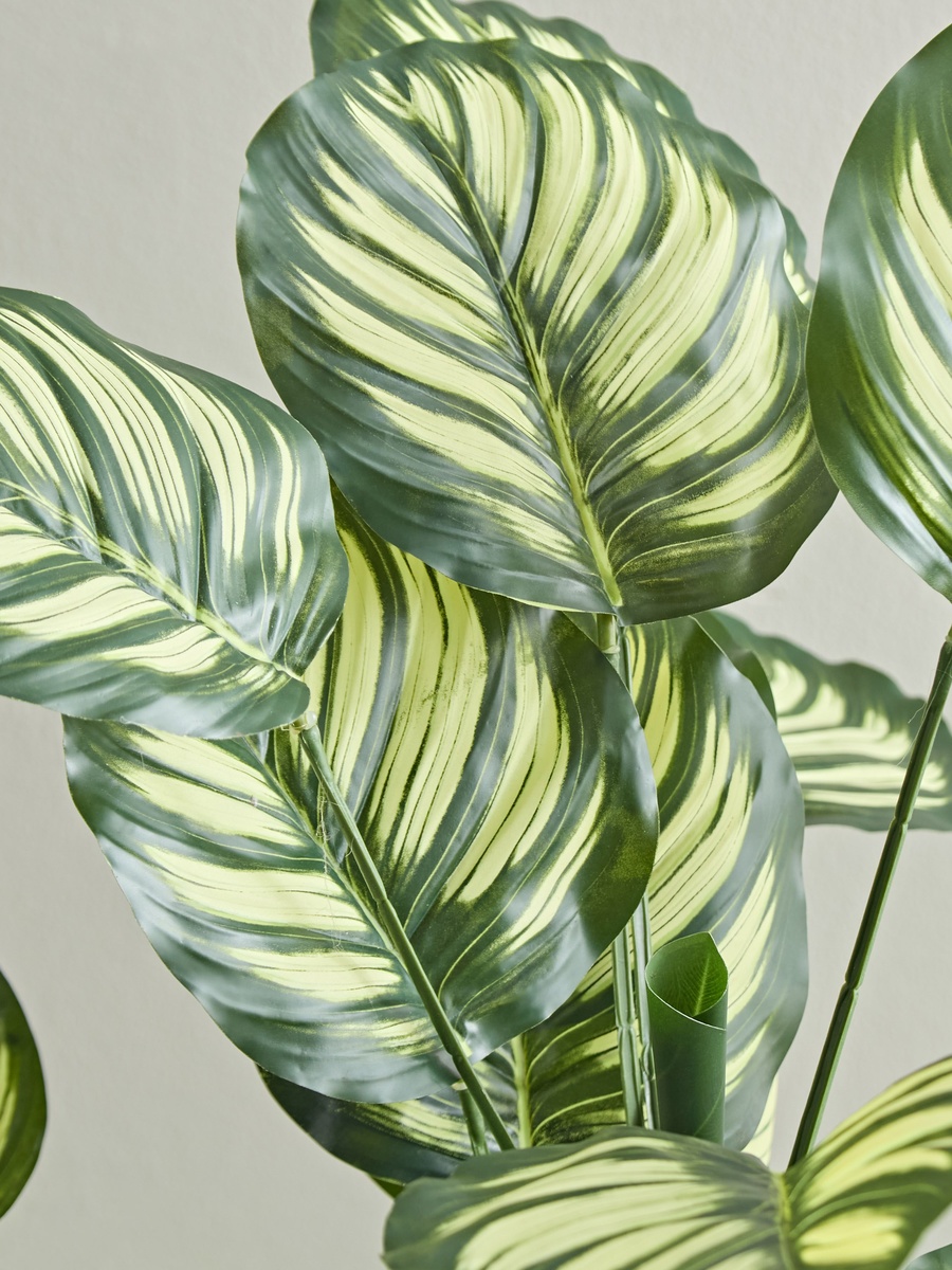 Teodora Artificial Calathea Tree - 105 cm
