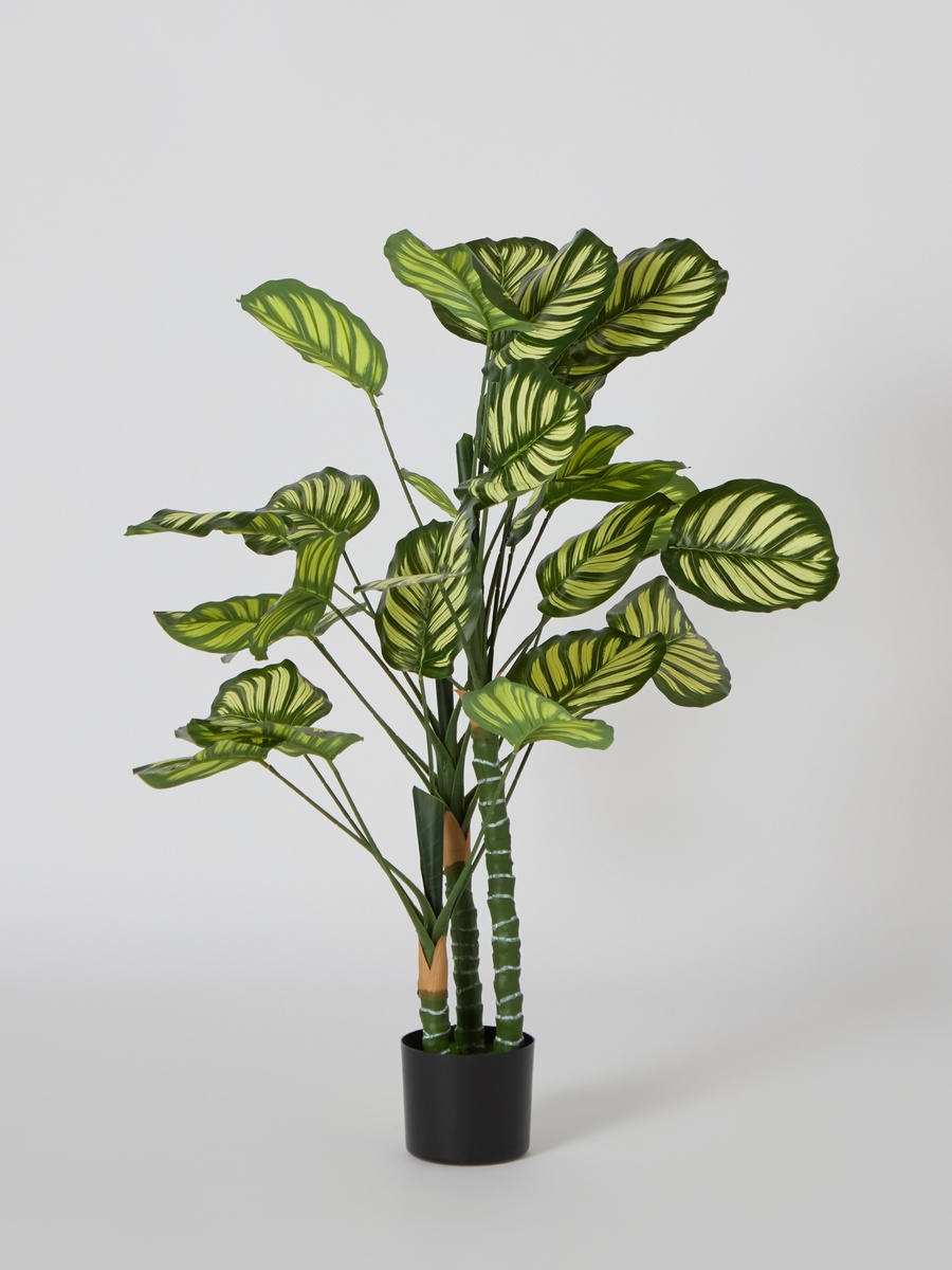 Teodora Artificial Calathea Tree - 105 cm