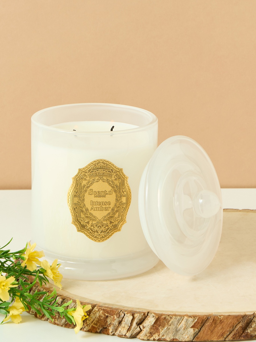 Oriental Luxe Intense Amber Scented Jar Candle - 360 gm