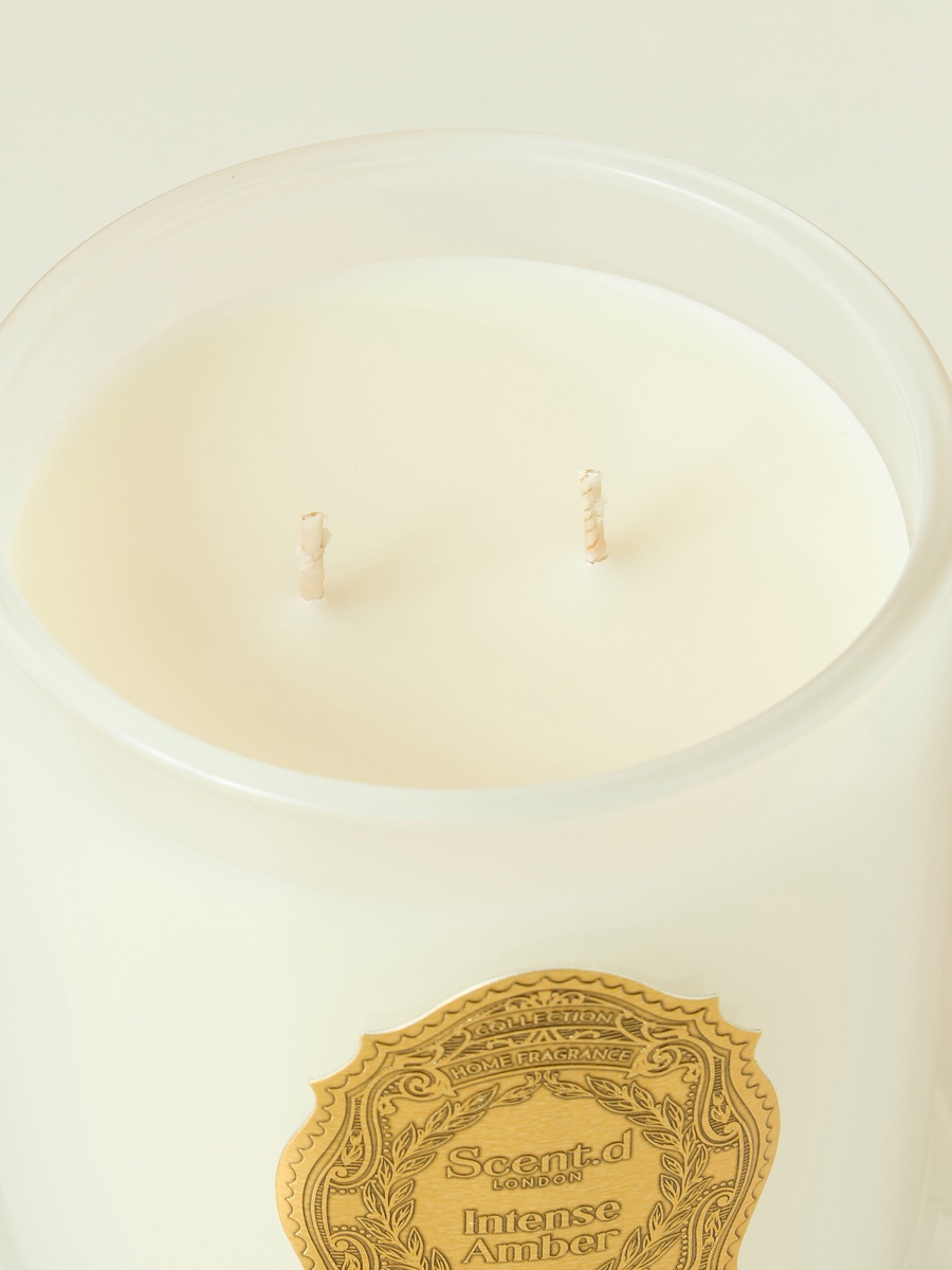 Oriental Luxe Intense Amber Scented Jar Candle - 360 gm